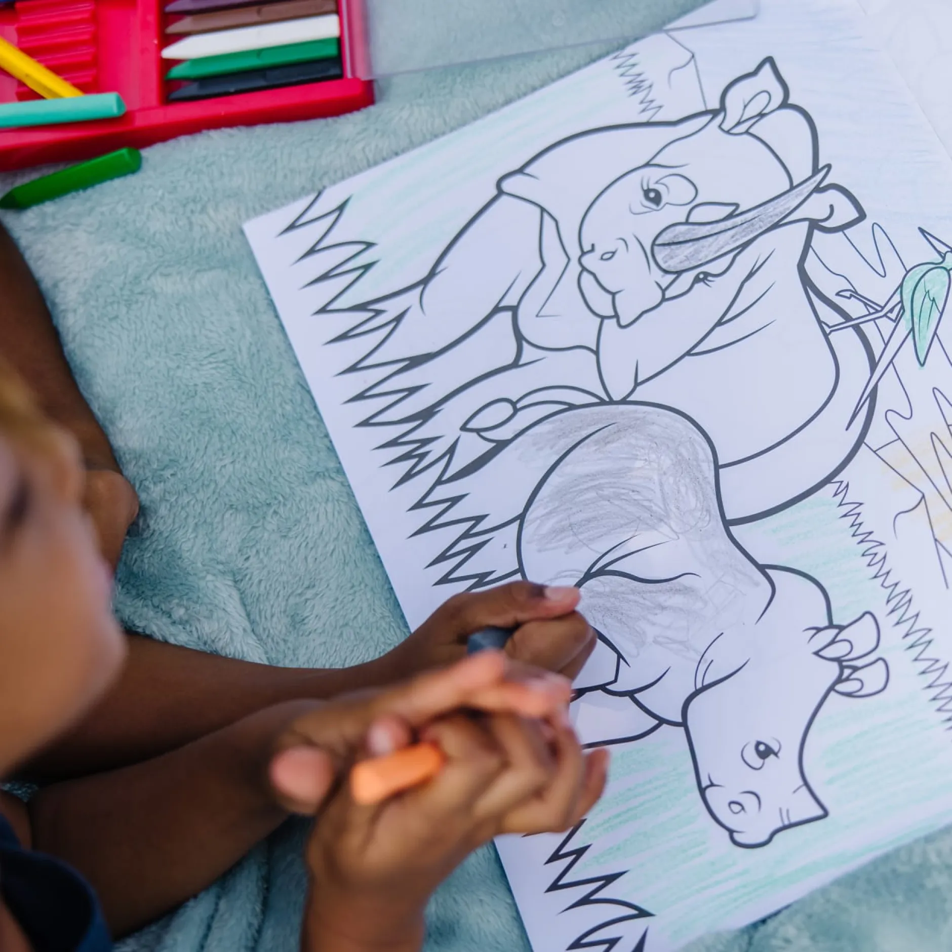 Activity Books>Melissa & Doug Jumbo Coloring Pad - Animals