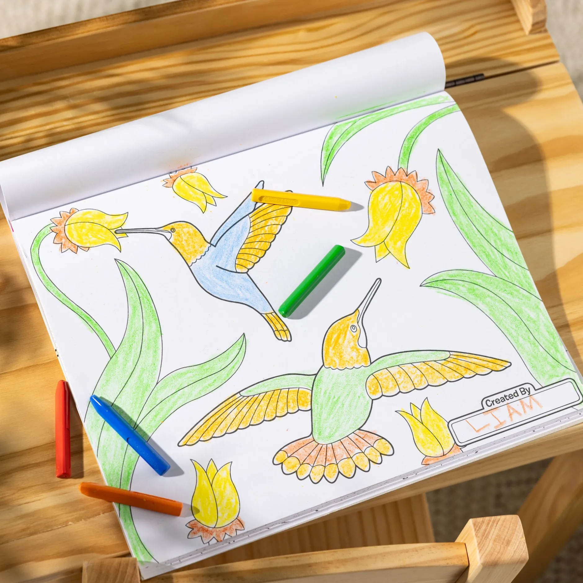 Activity Books>Melissa & Doug Jumbo 50-Page Kids' Coloring Pad - Horses, Hearts, Flowers, and More