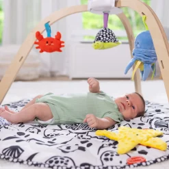 Motor Skills><noscript><img width=