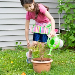 Outdoor Toys><noscript><img width=